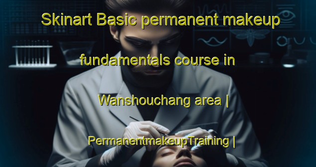 Skinart Basic permanent makeup fundamentals course in Wanshouchang area | PermanentmakeupTraining | PermanentmakeupClasses | SkinartTraining-China
